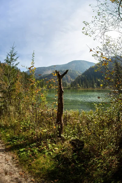 Paisagem Sombria Schiederweiher Áustria — Fotografia de Stock