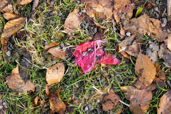Poubelles en plastique au milieu de la forêt — Photo