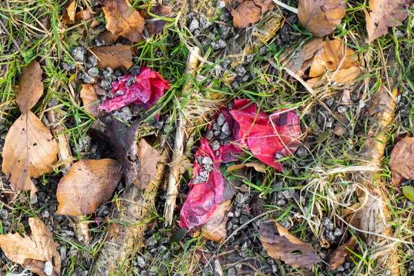 Poubelles en plastique au milieu de la forêt — Photo
