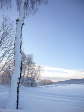 Güzel Bavyera 'da harika bir kış manzarası