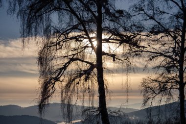 A wonderful winter landscape in beautiful Bavaria clipart