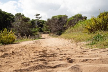 Muhteşem kumul manzarası Cala Mesquida Mallorca İspanya