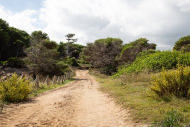 Muhteşem kumul manzarası Cala Mesquida Mallorca İspanya