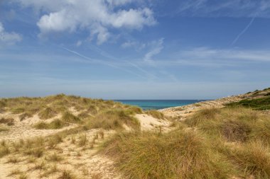 Muhteşem kumul manzarası Cala Mesquida Mallorca İspanya