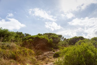 Muhteşem kumul manzarası Cala Mesquida Mallorca İspanya