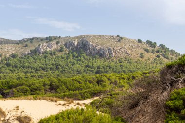 Muhteşem kumul manzarası Cala Mesquida Mallorca İspanya