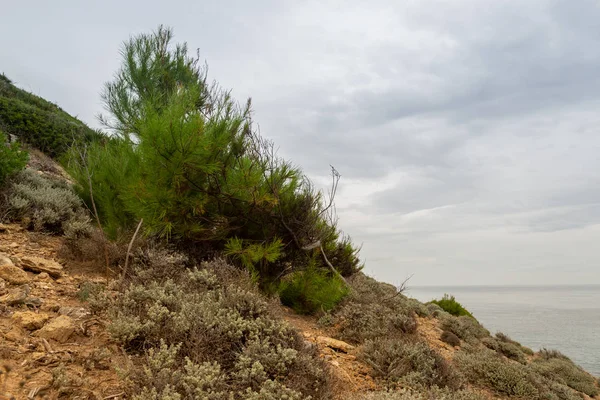 Meraviglioso paesaggio dune Cala Mesquida Maiorca Spagna — Foto Stock