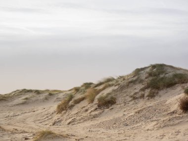 Helgoland adasındaki kum manzarası