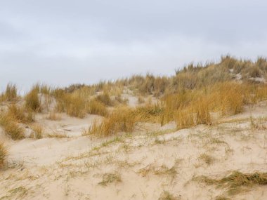 Helgoland adasındaki kum manzarası