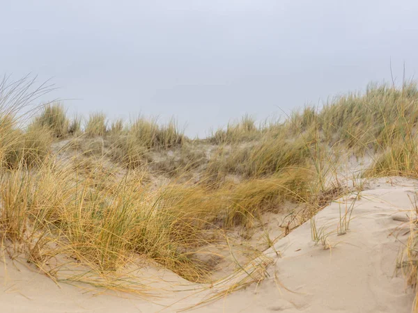 Paysage dunaire sur l'île de Helgoland — Photo