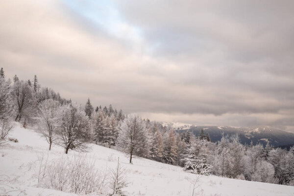 A wonderful winter landscape in beautiful Bavaria