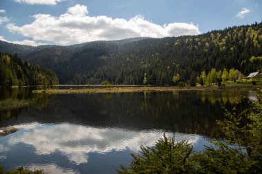 Bavyera 'daki küçük Arbersee' de manzara