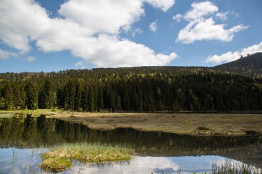 Bavyera 'daki küçük Arbersee' de manzara