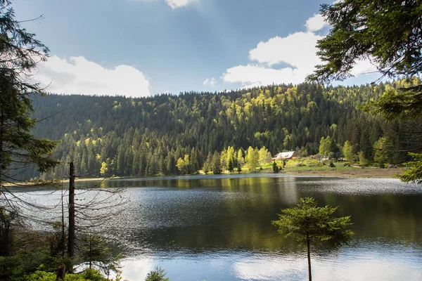 Bavyera 'daki küçük Arbersee' de manzara