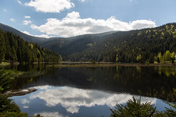 Paisagem no pequeno Arbersee na Baviera — Fotografia de Stock