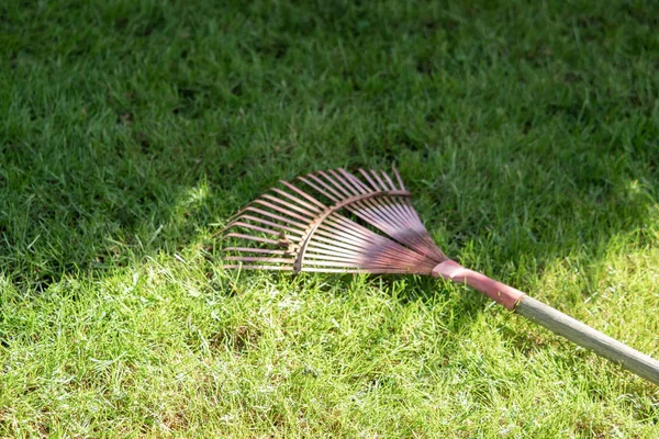 Ferramenta de bolo encontra-se no jardim — Fotografia de Stock