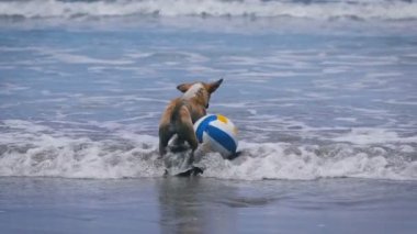 Kumsaldaki suyun kahverengi rengi. 