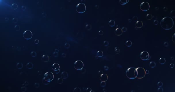 Video Bubbles Background — Stock Video