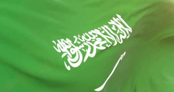 Realistische Arabische Flagge Hautnah — Stockvideo