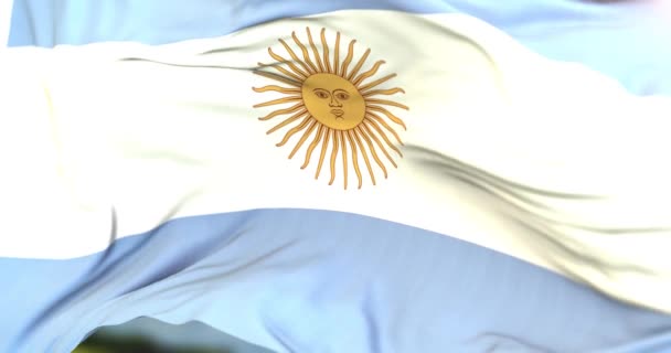 現実的なアルゼンチンの旗を閉じる4Kループ — ストック動画