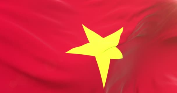 Realistic Vietnam Flag Close Loop — Stock Video