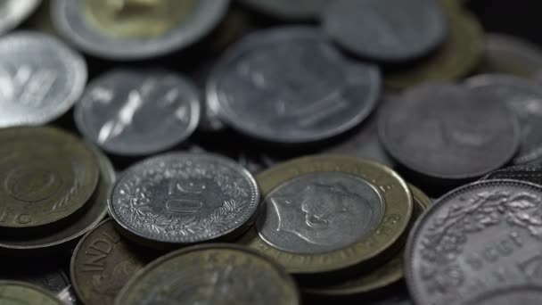 Nickel Copper Coins Different Countries — Stock Video