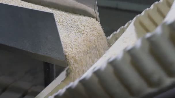 Avena Cereales Desmorona Partes Iguales — Vídeo de stock