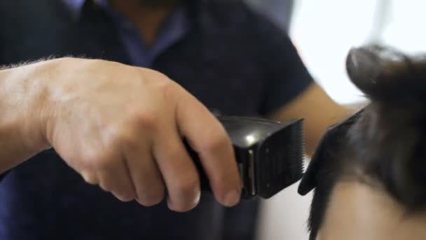 Schuss Von Einem Schönen Bärtigen Friseur Geben — Stockvideo