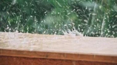 Tropikal ormanda sağanak yağmur