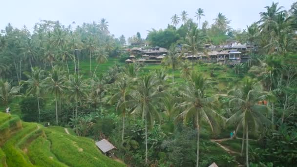 Χωριό Είναι Χτισμένο Ένα Καταπράσινο Λόφο Στη Ζούγκλα — Αρχείο Βίντεο