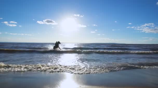 Bela Mulher Montando Cavalo Lago — Vídeo de Stock