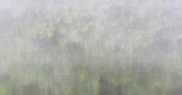 朝の霧が川に4K — ストック動画