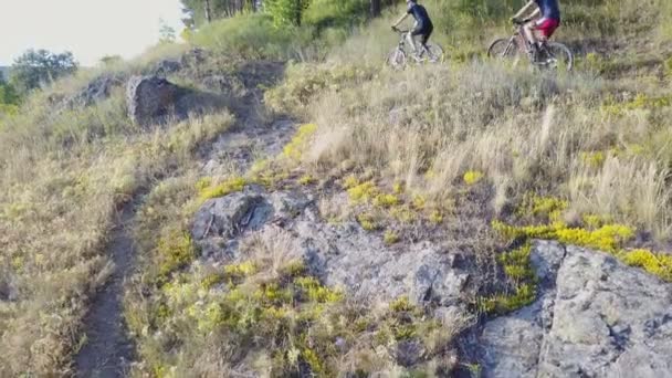 Balade Vélo Sur Sentier Forestier — Video