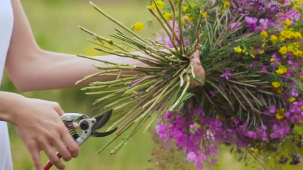 Een Jonge Vrouw Snijden Bloemen Met Een Clipper — Stockvideo