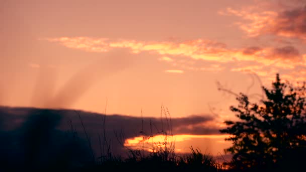 夕阳西下 追随你梦想中的人类轮廓 — 图库视频影像