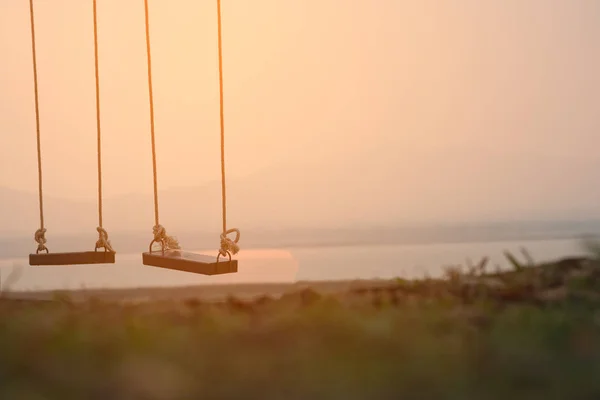 Çocuklar parkta sallanıyor. 