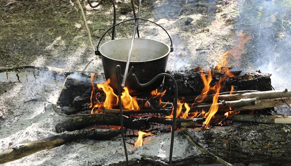 Melone Großen Lagerfeuer Der Natur — Stockfoto