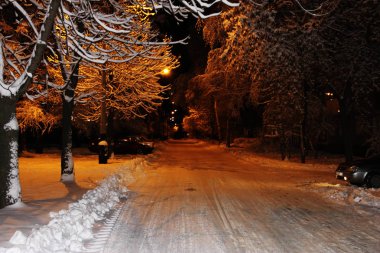 Kış manzarası, ağaç dallarında kar.