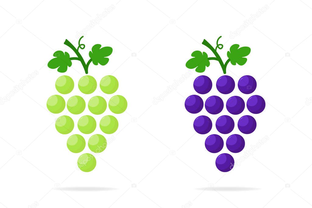 Green and purple grapes icon. Logo design modern isolated vector illustration.
