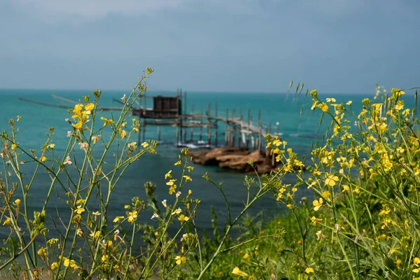 Abruzzo 'daki Trabocco, Adriyatik denizi, mavi gökyüzü