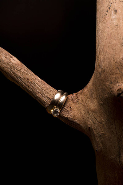 Gold wedding rings on a wooden branch. Preparation for the wedding. Wedding attributes.