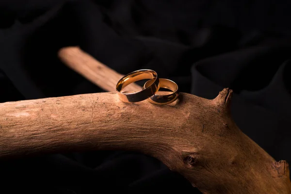 金婚戒指在木枝上 为婚礼做准备 婚姻属性 — 图库照片