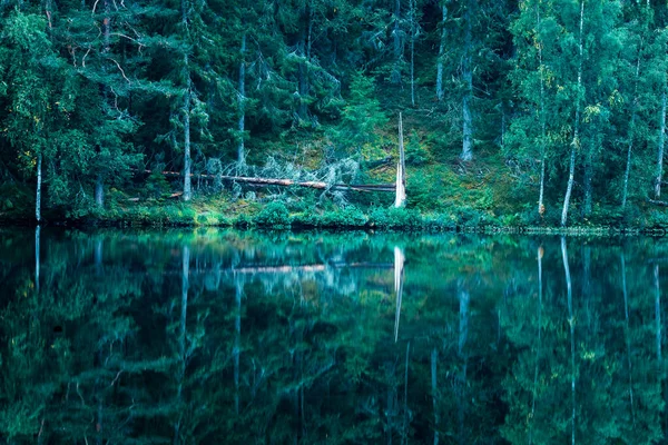 Otoño en lago sueco con árboles y reflexión — Foto de Stock