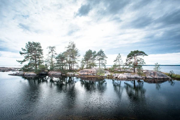 Árboles en la isla de Suecia con reflejo de un cielo nublado — Foto de Stock