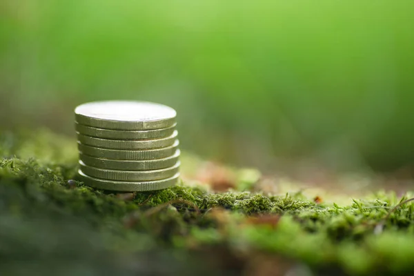 Euro Coins in Nature - Green Money