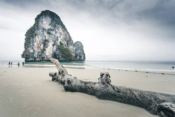 Railay beach ilindeki krabi, Tayland