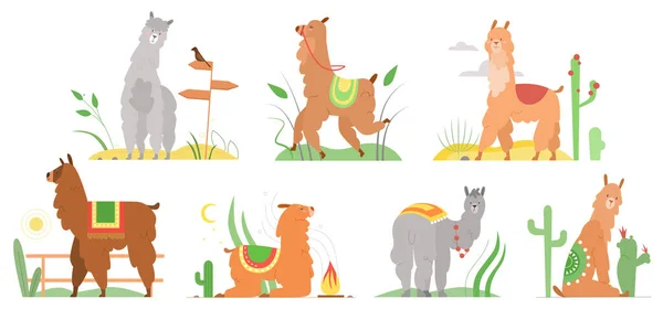 Cartoon lama illustrazioni vettoriali piatte, simpatici personaggi lama alpaca nel paesaggio desertico del Perù con cactus raccolta isolata su bianco — Vettoriale Stock