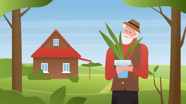 Granja casa verano paisaje, dibujos animados viejo granjero carácter celebración verde planta de interior en maceta — Archivo Imágenes Vectoriales