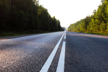 Konseptin yanında ağaçlarla dolu bir yaz yolu. Boş yol. Yan manzara asfalt yolu. Sonsuz hetero. Seyahat konsepti, seyahatler. Yaz tatili, turizm