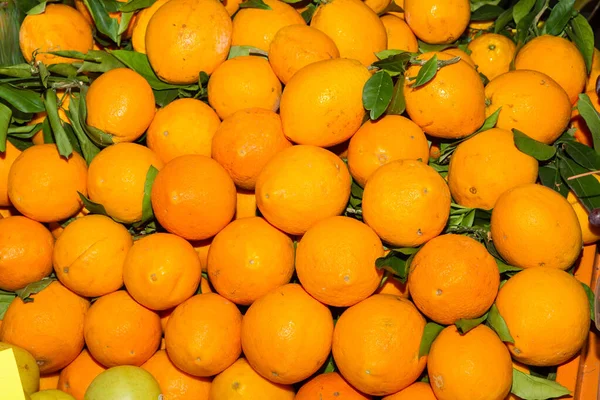 과일 시장에서 파는 신선 한 오렌지 수확 이 전시되어 있는 바구니. 건강 관리와 영양의 개념. — 스톡 사진